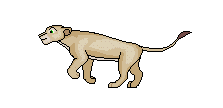 Gif animé lionne court